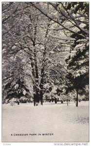 CANADA: A Canadian Park in Winter, 00-10s