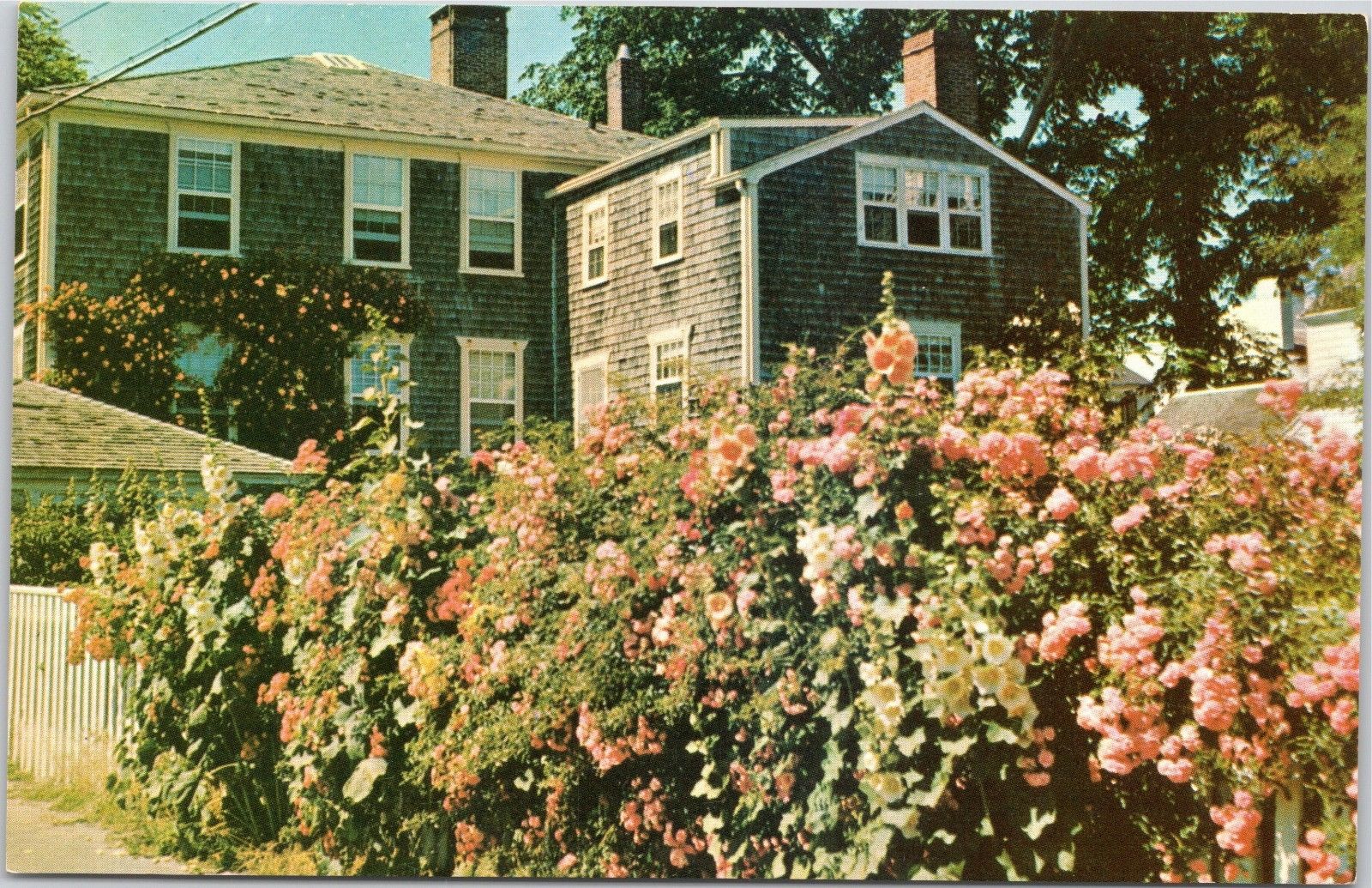 Floral Display on Daggett St. Edgartown, Martha's Vineyard, Daggett