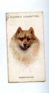 166935 POMERANIAN by WARDLE Player CIGARETTE card ADVERTISING