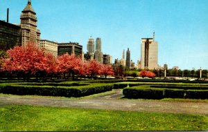 Illinois Chicago Skyline and Grant Park