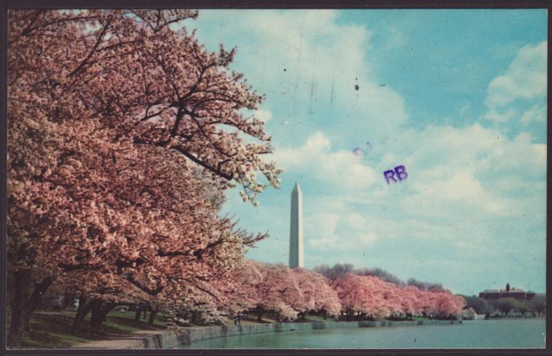 Washington Monument,Washington,DC Postcard BIN