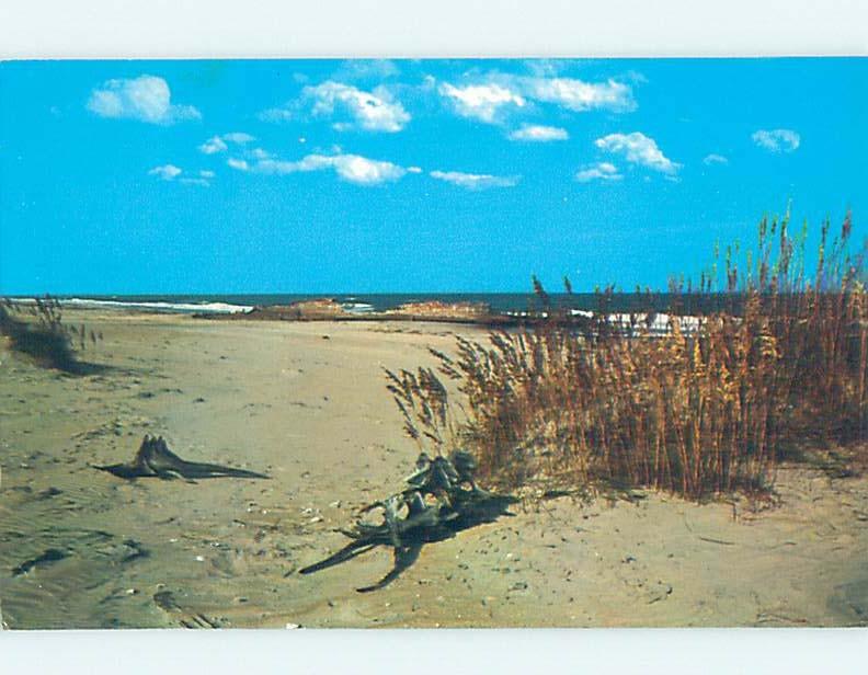 Pre-1980 BEACH SCENE Outer Banks North Carolina NC G6036
