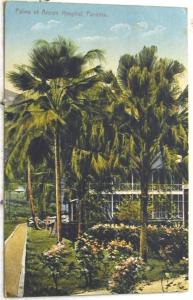 H3009    PANAMA    POSTCARD,  ANCON  HOSPITAL
