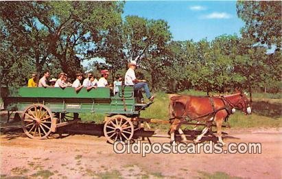 Mule Drawn Wagons, Lyndon B Johnson National Historic Site Johnson City, TX, ...