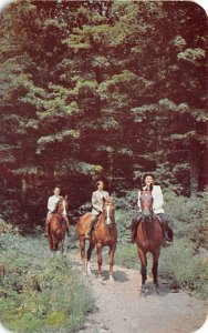 Pleasant Trip on Horseback Horse Unused real photo