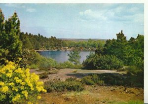 Northumberland Postcard - Craigside Upper Lake - Rothbury - Ref 20885A