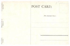 Dog ,  Terrier Hunting Rats