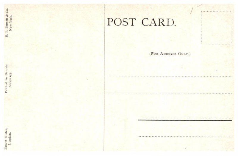 Dog ,  Terrier Hunting Rats