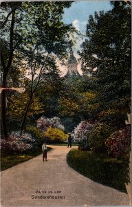 RPPC Germany Sondershausen - Partie im Loh  -- torn