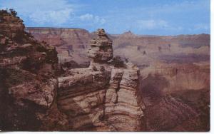 US    PC1013 DUCK ON THE ROCK, GRAND CANYON NATIONAL PARK