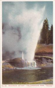 Riverside Geyser Yellowstone National Park