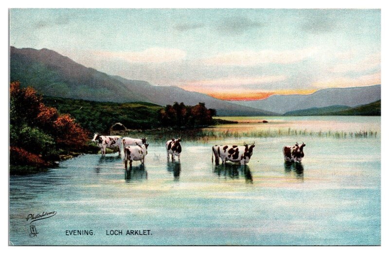 Antique Evening, Loch Arklet, Cows, Highlands Landscape, Scotland Postcard