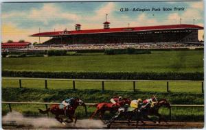 ARLINGTON HEIGHTS, Illinois  IL   ARLINGTON PARK Race Track  c1940s  Postcard