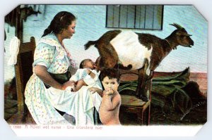 Rare Early 1900s Cuban Photo Postcard A Novel Wet Nurse with Goat