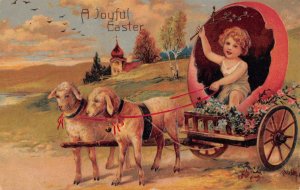 Lambs pulling egg cart Easter Postcard c1910 26val13