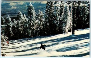 SANDIA PEAK SKI AREA, Albuquerque NM New Mexico  SKIERS Postcard