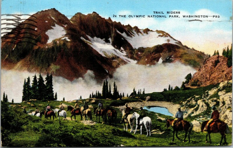 Vtg 1940's Trail Riders Olympic National Park Horses Washington WA Postcard
