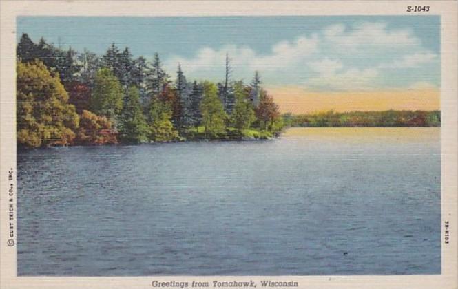 Wisconsin Greetings From Tomahawk Curteich