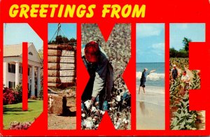Greetings From Dixie Multi View Familiar Scenes Cotton Tobacco Fishing