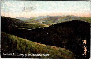 Postcard NATURE SCENE Asheville North Carolina NC AM3630