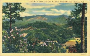 USA Mt Leconte Great Smoky Mountain National Park Tennessee Linen 07.24