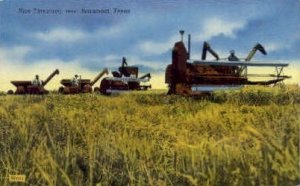 Rice Threshing - Beaumont, Texas