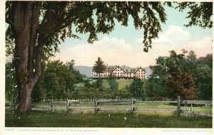 Vintage Postcard Intervale House Big Tree Fence White Mountains New Hampshire NH