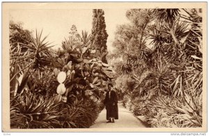 Jardin De l'Hotel Saint-George, Alger, Algeria, Africa, 1910-1920s