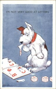 Naughty Dog Chews Up Book PETER FRASER Postcard 