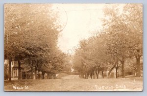 J87/ Flushing Ohio RPPC Postcard c1910 Belmont Co Wood St Homes 1656