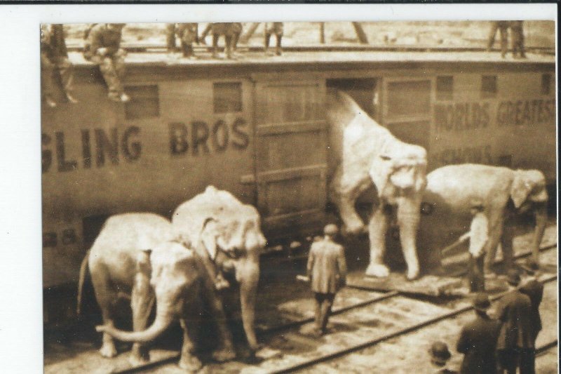 A Vanishing Scene, Circus Train Framable 4 by 6 Reprint Postcard