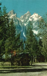 In The Tetons Grand Teton National Park Wyoming WY Vintage Postcard 1973