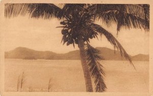 Totoya Fiji panoramic view by reef and palm antique pc ZA441502