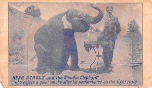 Herr Scholz and the Blodin Elephant Performance on tight ropes Unused small p...