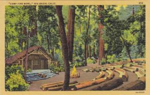 Camp Fire Bowl in Redwood Forest - Big Basin CA, California - Linen