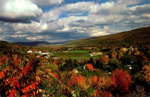 New York Finger Lakes Region Naples Valley Showing Naples