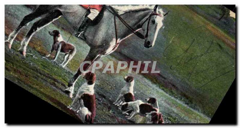 Postcard Old Hunting hounds has Horseman Horse Dogs Dog