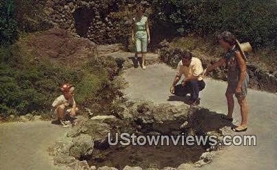 Thermal Water Display Springs - Hot Springs National Park, Arkansas AR