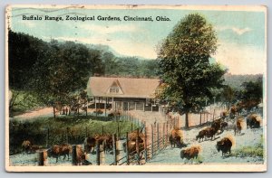 Cincinnati Ohio~Zoological Gardens~Buffalo Herd Range Enclosure~1919 Postcard