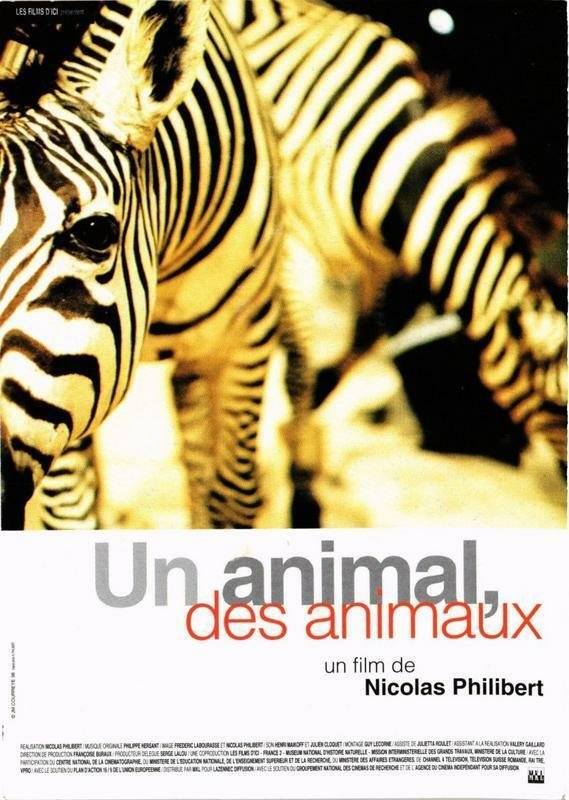 CPM AK Un animal des animaux CINEMA FILM (780514)