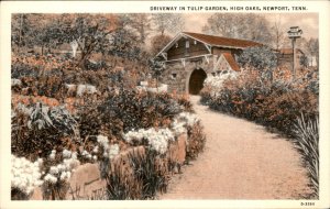 Newport TN Tennessee High Oaks Tulip Garden c1930-50s Vintage Postcard