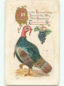 Divided-Back THANKSGIVING SCENE Great Postcard AA0682