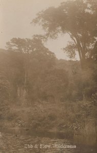 Ebb & Flow Wilderness South Africa Antique Real Photo Postcard