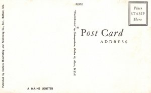 Vintage Postcard A Maine Lobster ME Pub. By Eastern Illustrating & Publishing Co