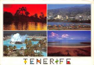 B33224 Tenerife multi views   spain