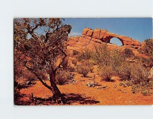 M-155022 Skyline Arch Arches National Monument Utah USA