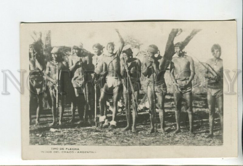 460311 ARGENTINA Archery of the Chaco Indians Vintage photo postcard