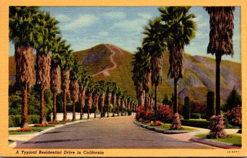 California A Typical Residential Drive 1953 Curteich