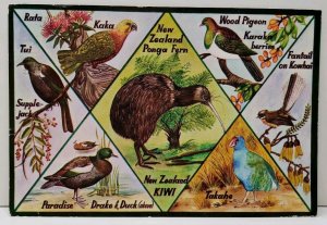 New  Zealand Bords and Fauna Airmail to Conn USA Postcard A12