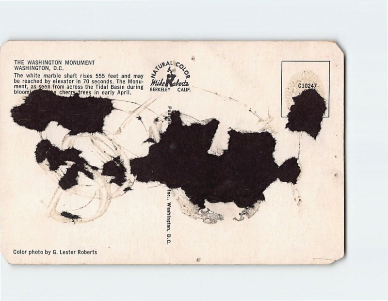 Q-15715 Washington Monument & Cherry Trees in Bloom Washington DC USA